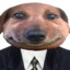 бобр