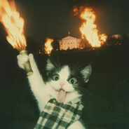 纵火犯猫猫