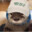 Pickles™