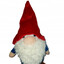 therealgnome