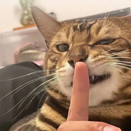 IU闪亮的西瓜