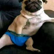 [opel corsa peek] zeno