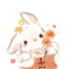 hello-xinxin