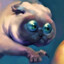 Cattitude