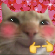 ⋆˚࿔ ღAmelie𝜗𝜚˚