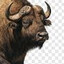 PP Bisonler