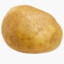 Potato