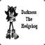 Darkness The Hedgehog