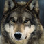 Avatar of player WOLF 3D