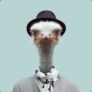 鸵鸵鸵鸟鸟鸟·