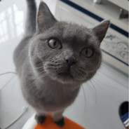 斗鱼小皇叔小号6089777