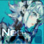 Neeva