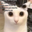 beenu