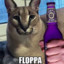 Mr. Floppa