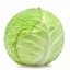 singular_cabbage