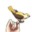 Hero-King Birb