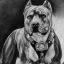 -[PITBULL!]