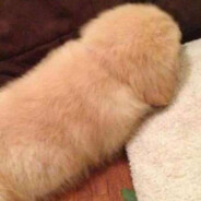 RobloxPlayer_skins.army