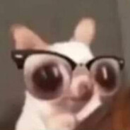 LVL99JIGOLO