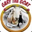 Gary the Goat