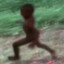 veke