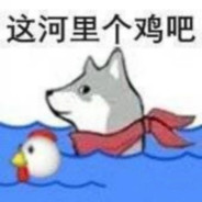 这不河狸ヽ(＊｀Д´)ノ