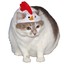 CHICKENHATCAT cmd