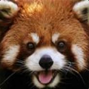 Ruski Panda