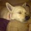 kieu_24