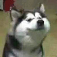 克劳黛特•莫莱