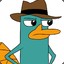 Perry