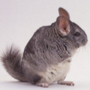 M҉R҉M҉K҉I҉T҉O҉