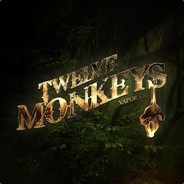 12MonkeysVapor-Eclipz