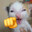 atake_loli
