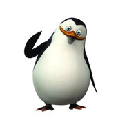 PRAPOR - steam id 76561199816294061