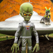 MaGical- - steam id 76561199647048622