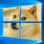 WinDoge