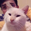 elgatogüero