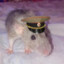 Comrade Rat