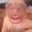 LexJarri