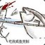 瓦坎达亚贵族大王子