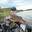 Kallekun10