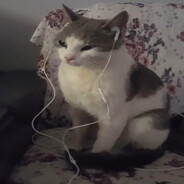 SILVERJAMS