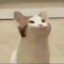 耶斯莫拉