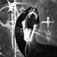 Avatar of iLexx
