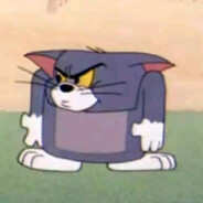 智猷今天晨勃了没