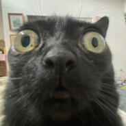 Wizard of the Stroke