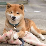 PIMO