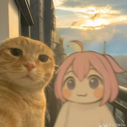 B站关注yuki谢谢喵