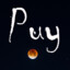 Puy